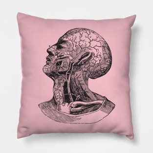 Anatomy head Pillow