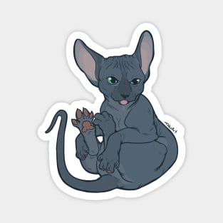 Sphynx Toes Magnet