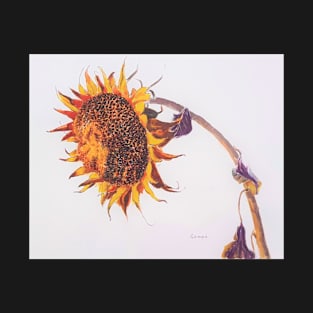 Sunflower T-Shirt