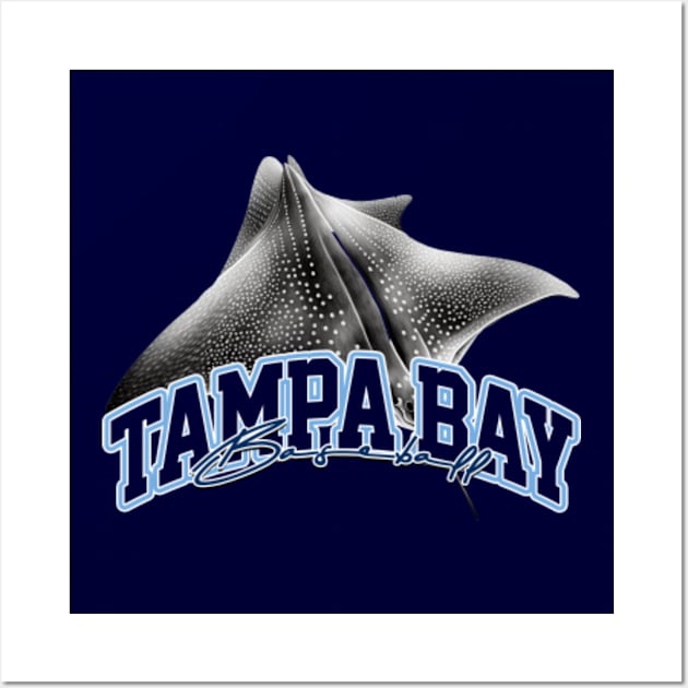 Tampa Bay Rays flag color codes