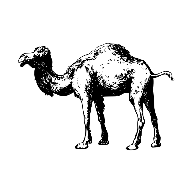 Camel by linesdesigns