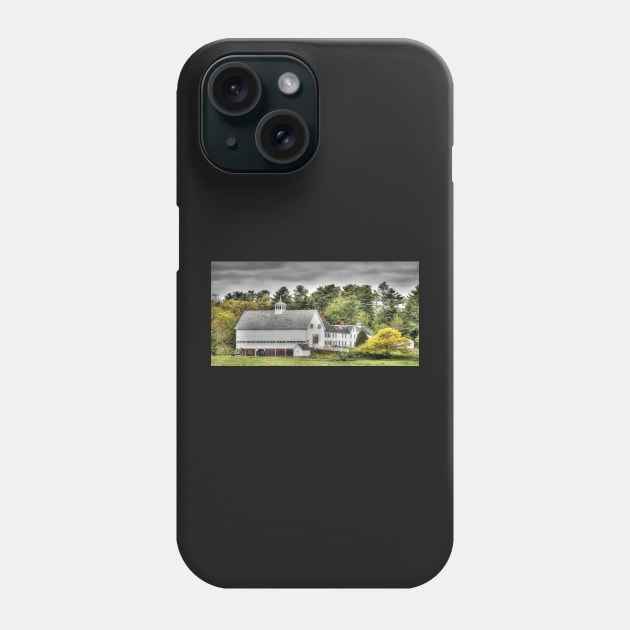 Merrucoonegan Farm Phone Case by BeanME