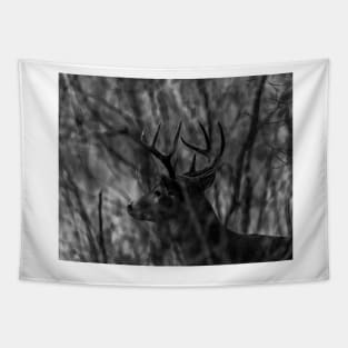 White Tail Deer - Buck Tapestry