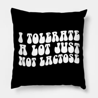 I Tolerate a Lot But Not Lactose Wavy Groovy Pillow