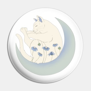 Cat on the moon Pin