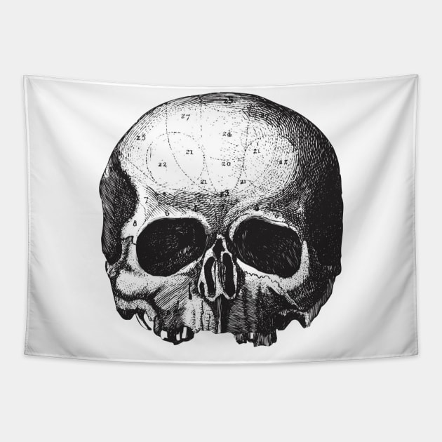 Black Label Society Tapestry by Colin Irons