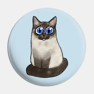 Cute holy burma cat Pin