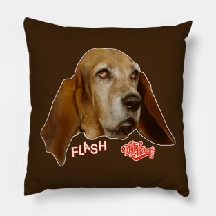 FLASH The Hound / Dukes of Hazzard Pillow