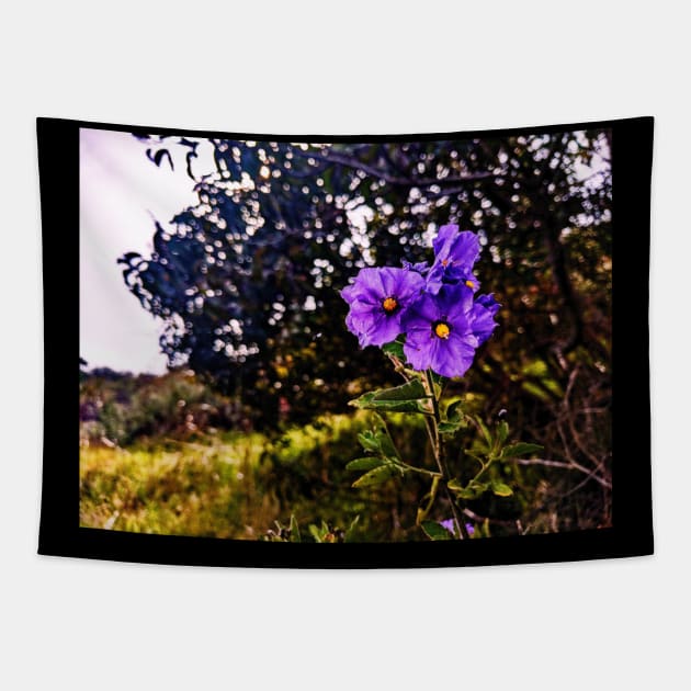 Purple flowers Tapestry by RobertsArt