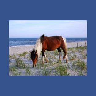 Wild horses, wildlife, gifts, Assateague, Upon the Dunes T-Shirt