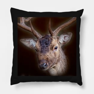 Deer Stag Pillow