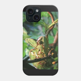 Veiled Chameleon Phone Case