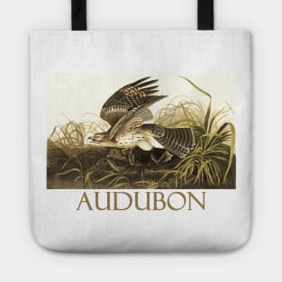 Winter Hawk by John James Audubon Tote