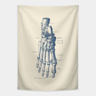 Right Foot Skeletal Diagram - Vintage Anatomy Poster Tapestry