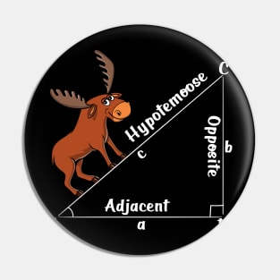 Math Hypotemoose Pin