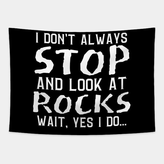 I Don't Always Stop And Look At Rocks, Wait Yes I Do, Geology Student Professor Gift Tapestry by JustBeSatisfied