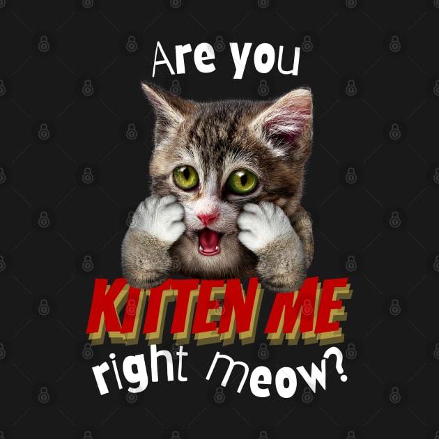 Are You Kitten Me Right Meow by leBoosh-Designs