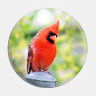 Musing - Male Cardinal Pin