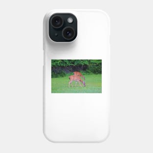 Twins Grazing Phone Case