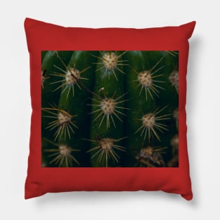 Red cactus Pillow