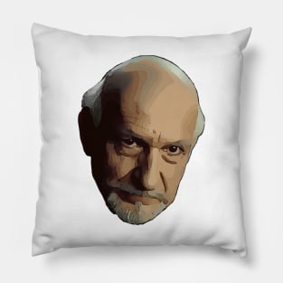 Ben Kingsley Pillow