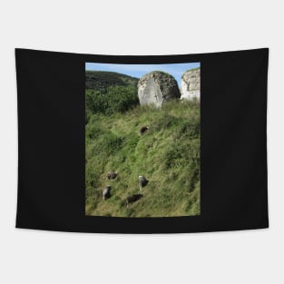 Herdwick Sheep, Corfe Castle, Dorset, England Tapestry