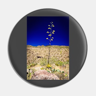 Century Plant in Arizona Pin