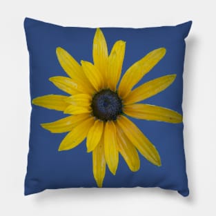 Yellow Daisy Pillow