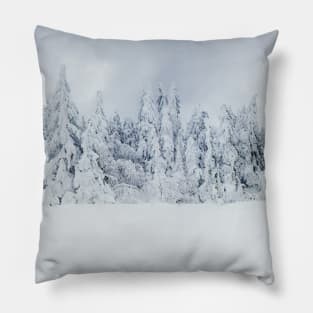 fir forest Pillow