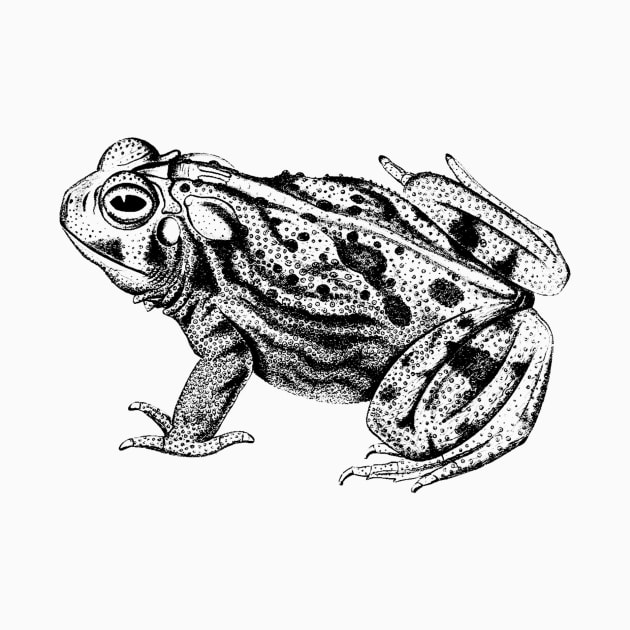 Vintage Toad Sketch by Vintage Sketches