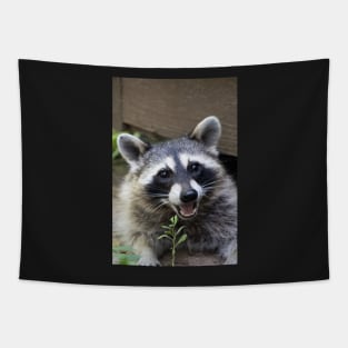 Smiling Raccoon! Tapestry