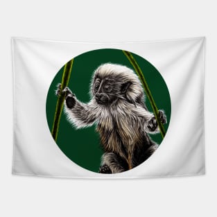 Baby cotton-top tamarin Tapestry