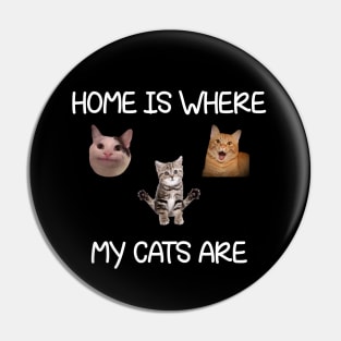 Home Is Where My Cats Are Cat Meme Pin