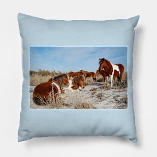 Wild horses, wildlife, gifts, painted horse, Assateague Island, Maryland Pillow