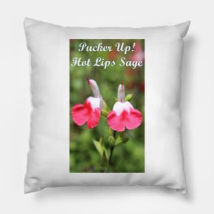 Pucker Up! Hot Lips Sage Design for Tee Shirt Pillow