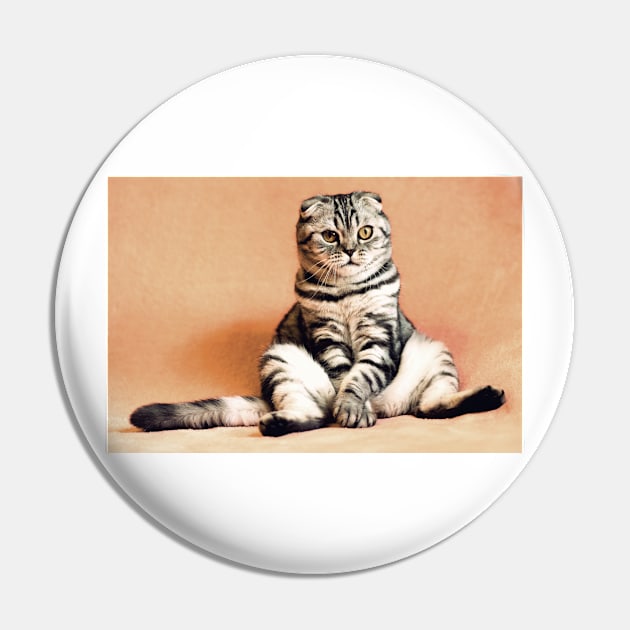 Scottish Fold Pin by kawaii_shop