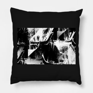 Introspection-Black and White Pillow