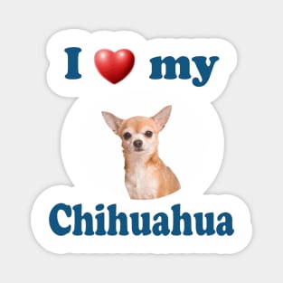 I Love My Chihuahua Magnet