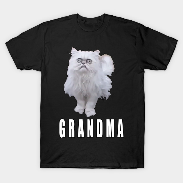 This Stray Cat Looks Like Grandma Meme Cat T Shirt Teepublic