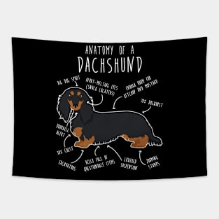 Black and Tan Longhaired Dachshund Dog Anatomy Tapestry