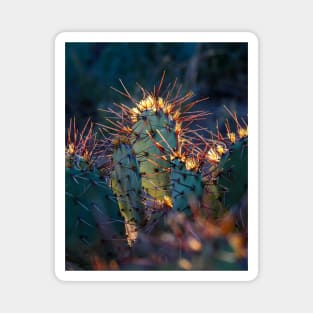 Texas Cactus Magnet