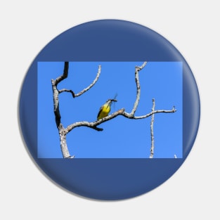 Couch's Kingbird - Dragonfly For Lunch Pin