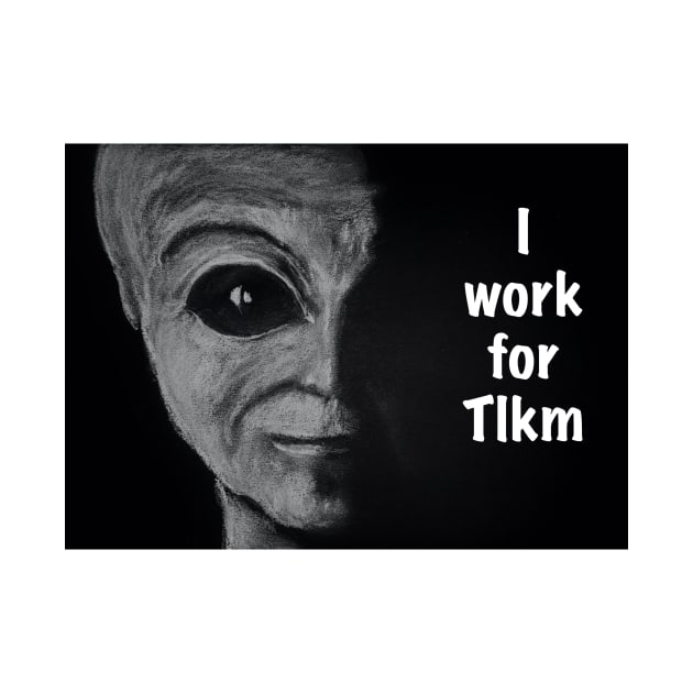 I work for Tlkm by SandiaOFC