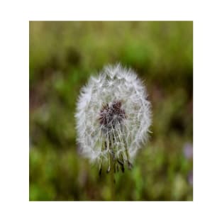 Dandelion Seed T-Shirt