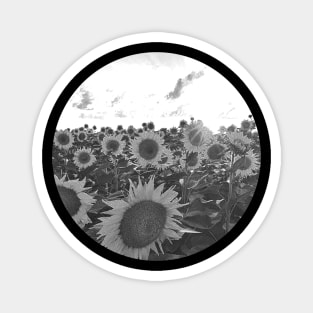 sunflower land Magnet