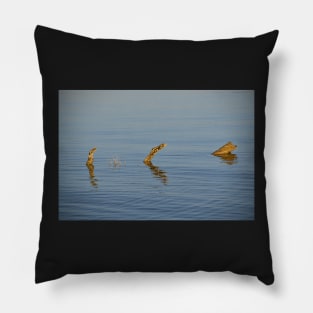 Driftwood reflections Pillow