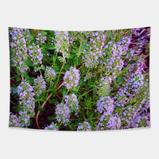 Flowering Thyme Plant Tapestry