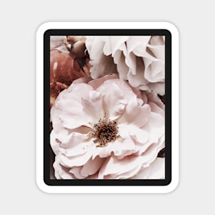 Flowers print, Roses, Pink, Pastel, Fashion print, Modern art, Wall art, Print, Minimalistic, Modern Magnet