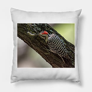 Ladder-Backed Woodpecker and Caterpillar Pillow