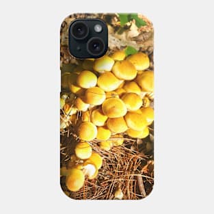 Baby Honey Mushrooms Phone Case